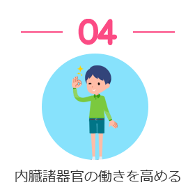 内蔵諸器官の働きを高める