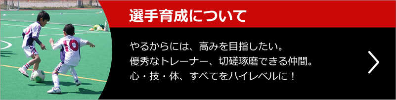 選手育成について